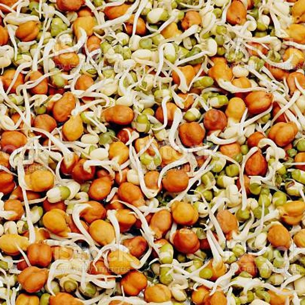 Mixed Sprouts - 150 Gm