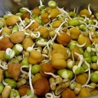 Mixed Sprouts - 300  Gm