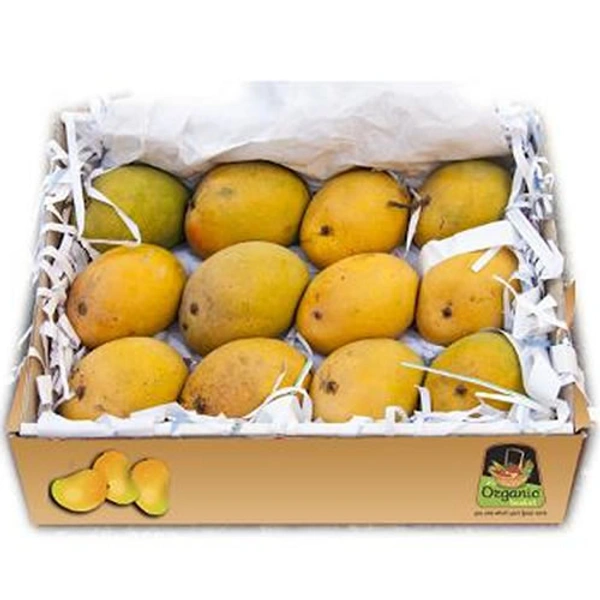 Mangoes - 12 Dizen