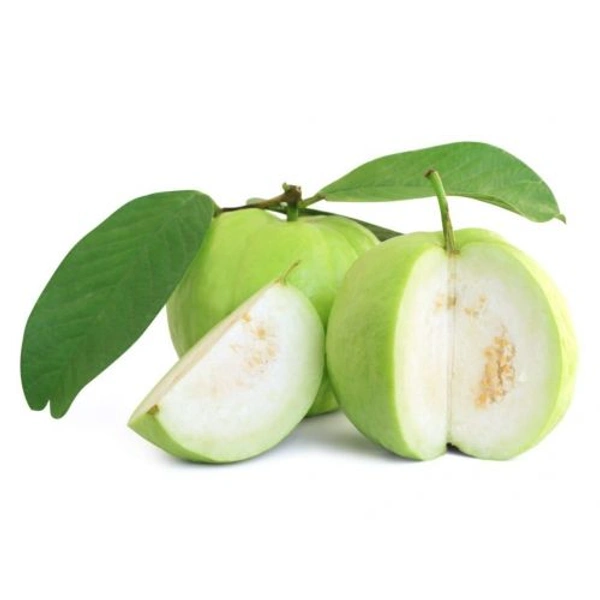 Guava - 500 Kg