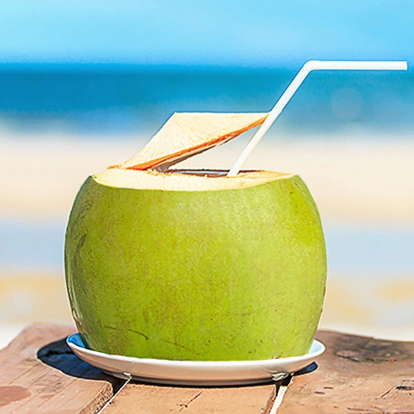 Tender Coconut - 1 Pc