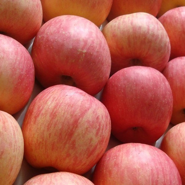 Apple Fuji - 4 Pc