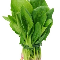 Palak - Whole Bunch