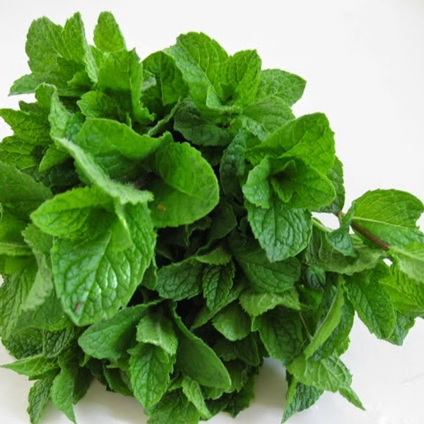 Mint Leaves - Half Bunch