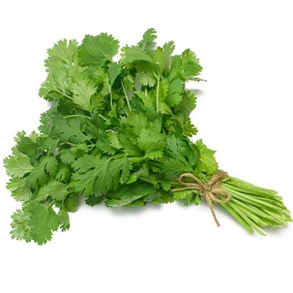 Coriander Leaves - Whole Bunch