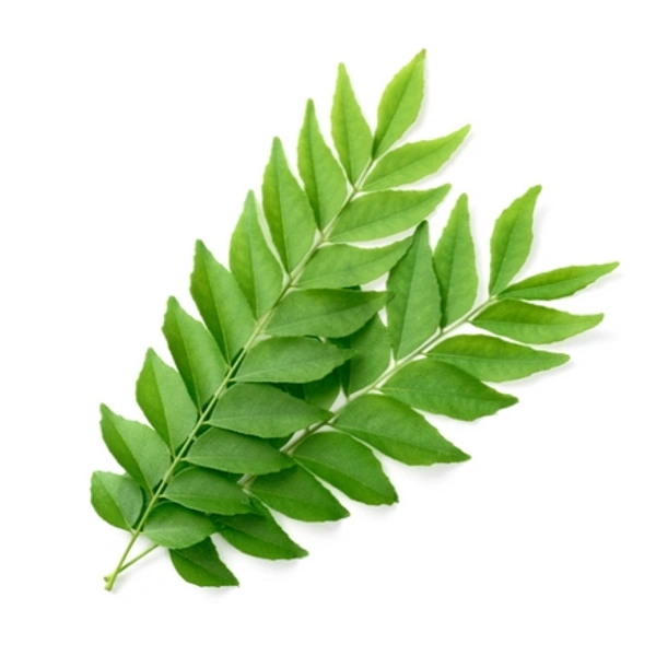 Curry Leaves - Half Bunch