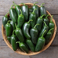 Dark Green Chillie - 500 Gn