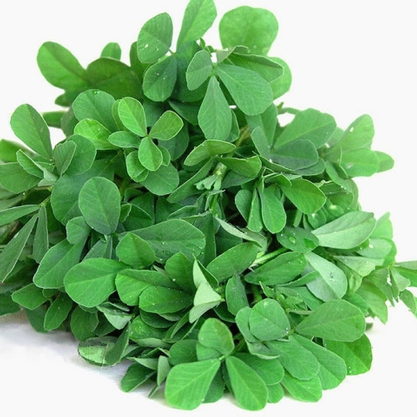 Methi Leaves - 1 Bundle