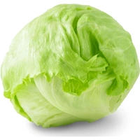 Lettuce Iceberg - 1 Pc
