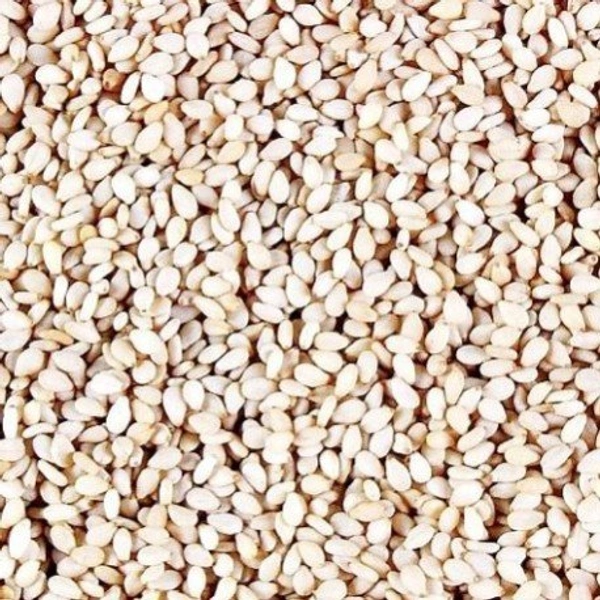 White Teel - 100 Gm