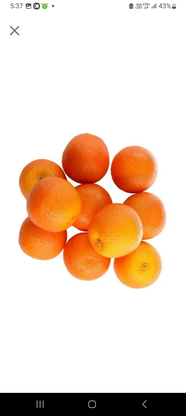 Imported Mini Oranges  - 1 Kg