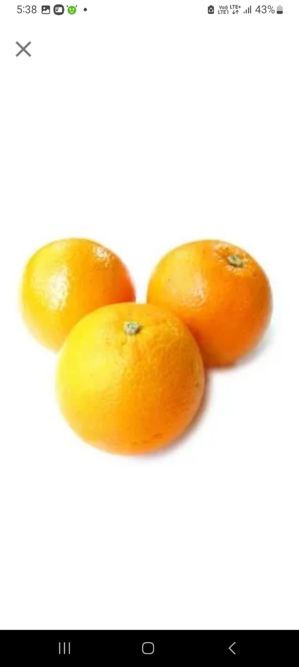Malta Imported - 1 Kg