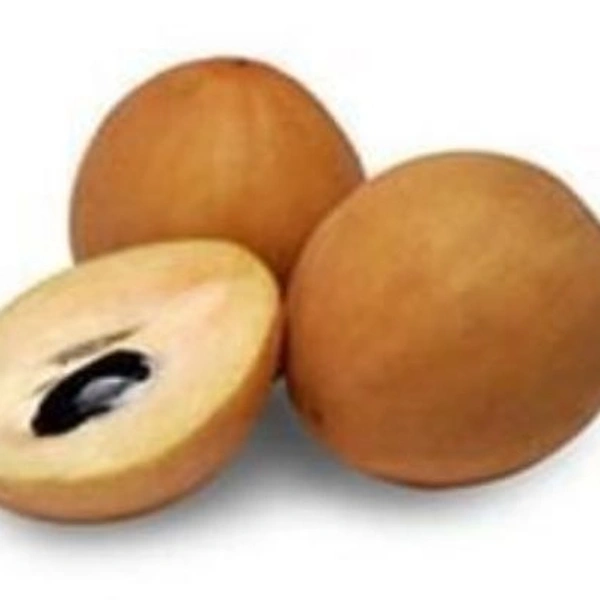 Chikoo - 12 Pcs