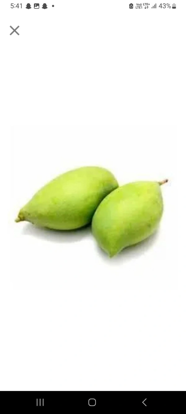 Raw Mango (Totapuri Carry) - 1 Kg