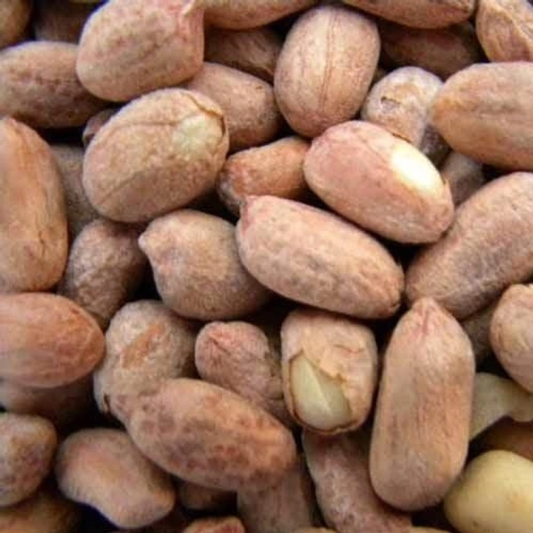 Bhuja Singdana
