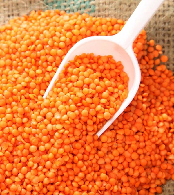Mashur Dal (Lal) - 1kg