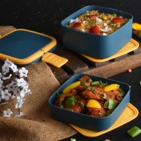 BLUE DOUBLE-LAYER PORTABLE LUNCH BOX STACKABLE WITH CARRYING HANDLE AND SPOON LUNCH BOX , Bento Lunch Box