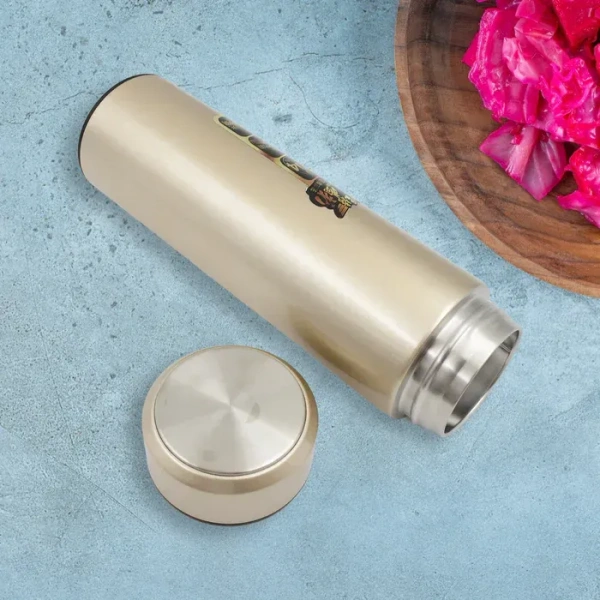 Stainless Steel Water Bottle (450 ML)