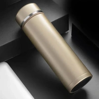 Stainless Steel Water Bottle (450 ML)