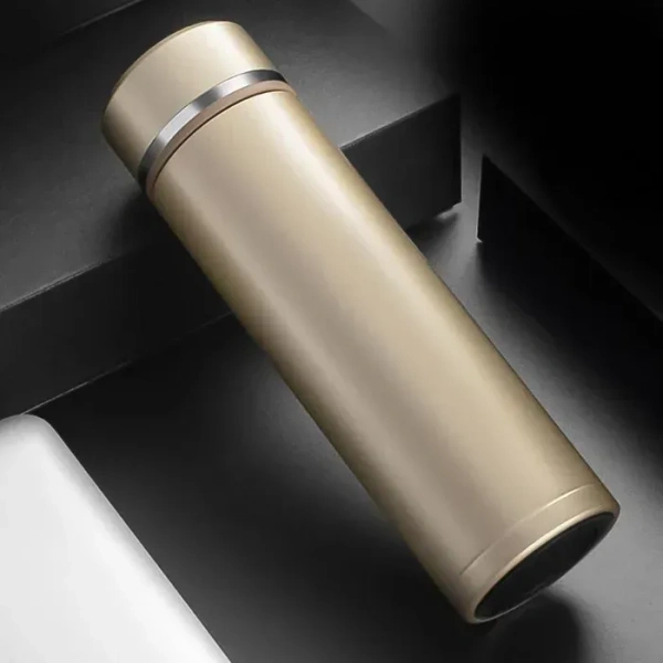 Stainless Steel Water Bottle (450 ML)