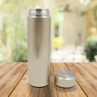 Stainless Steel Water Bottle (450 ML)