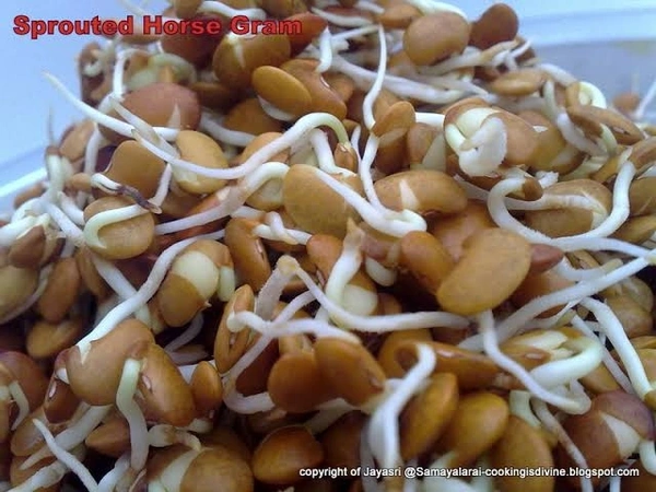 Sprouted Horse Gram - 100g