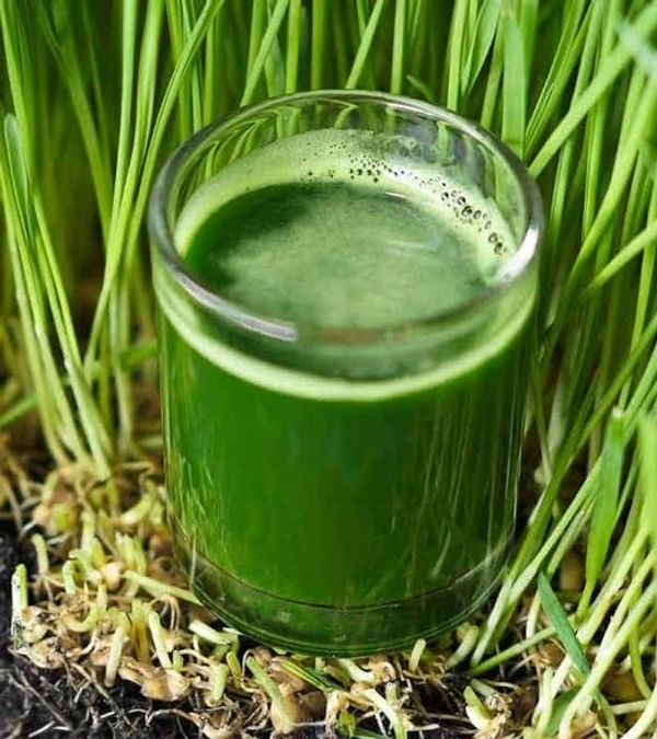 Arugam Pull Juice 
