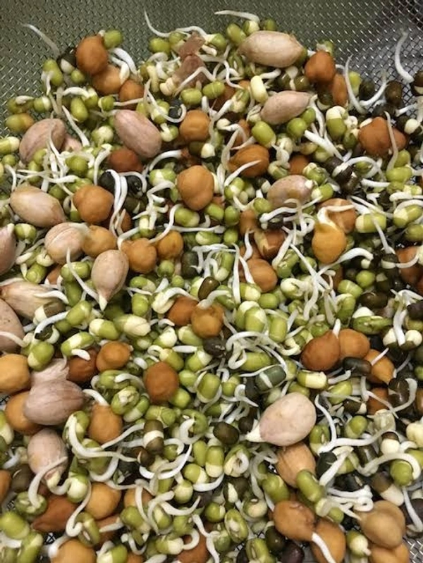 Mixed Raw Sprouts - 200g