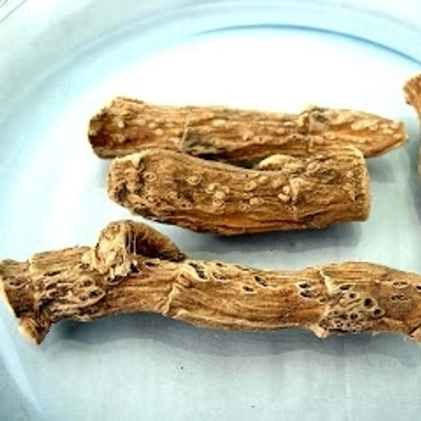 Daily Herbs
