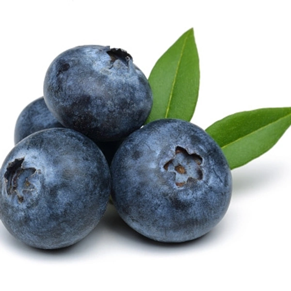 Blue Berry (per Pack)