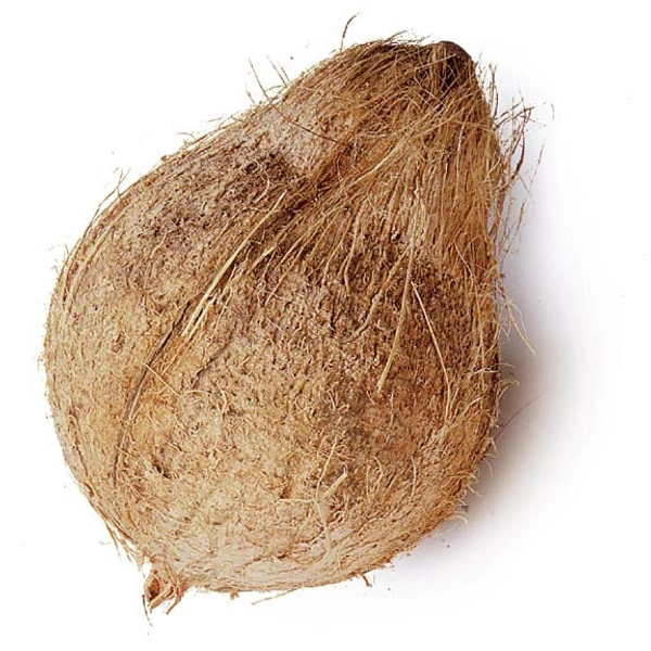 Coconut (per Piece)