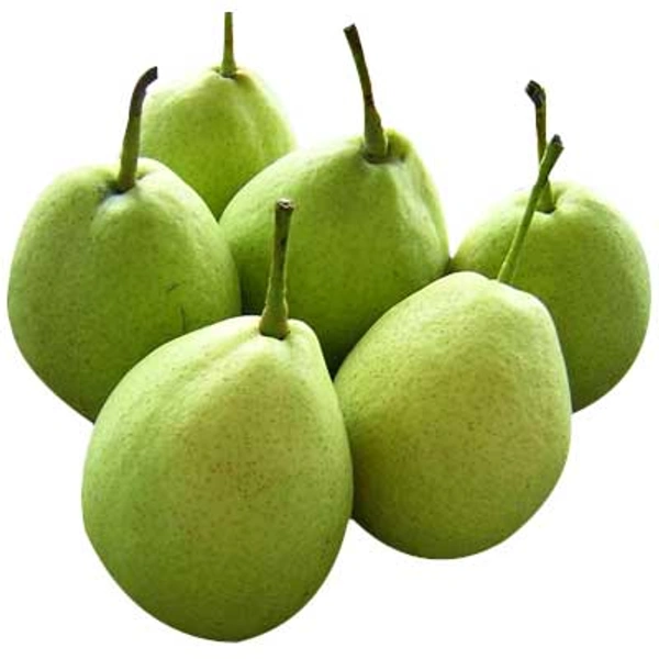 Naakh (per Kg) 