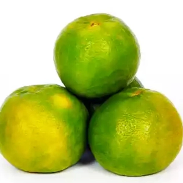 Fresh Orange  (per Kg) 