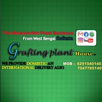 Grafting Plant House  - Logo