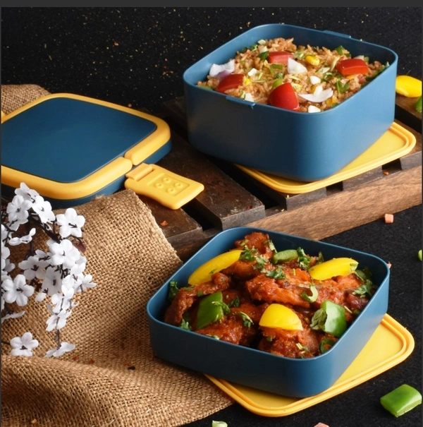 2838A BLUE DOUBLE-LAYER PORTABLE LUNCH BOX STACKABLE WITH CARRYING HANDLE AND SPOON LUNCH BOX , Bento Lunch Box