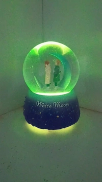 LED Snow Globe Couple Show Piece