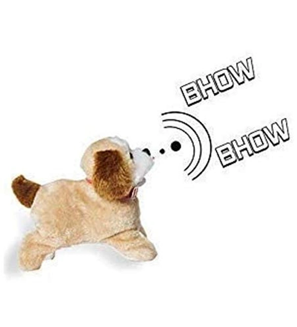 Jumping, Walking and Barking Dog
