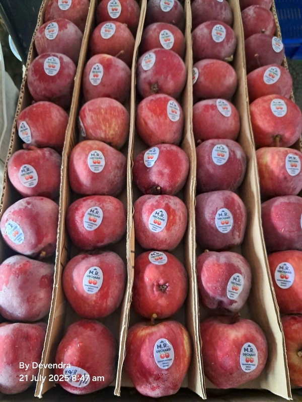 Apple (Red Delicious) - Small - 1kg