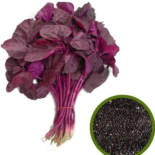 Red Cholai 500g