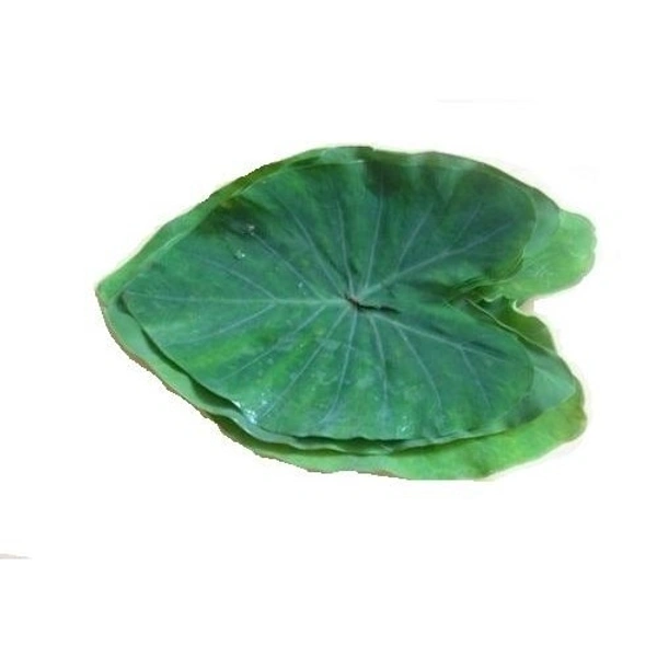 Arbi Leaf - 100g