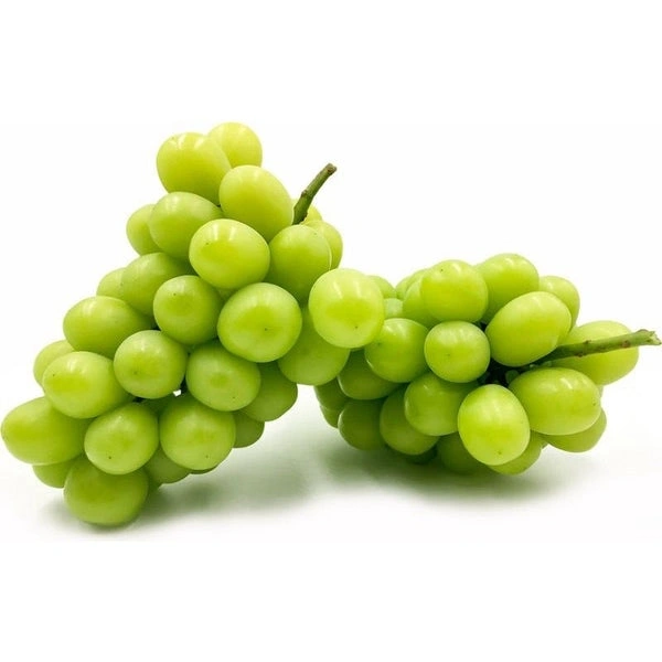 Shine Muscat Grapes 1 Box