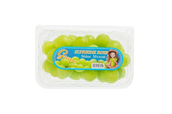 Shine Muscat Grapes 1 Box
