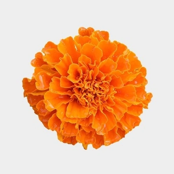 Marigold Flowers - 250g