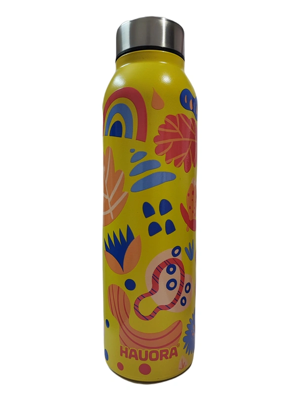 950ml Paley Printed SS Bottle (Y) (SS304 Grade) - 