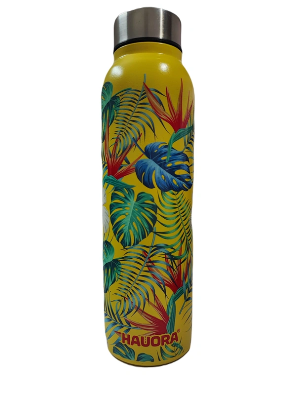 950ml Plant Printed SS Bottle (Y) (SS304 Grade) - 