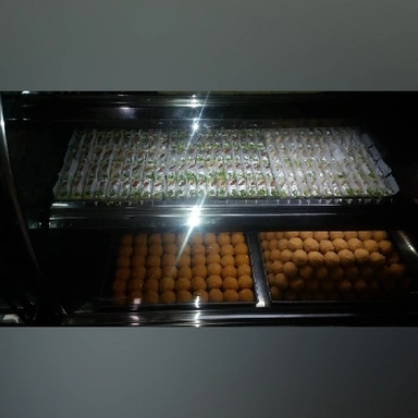 Titu Sweet Corner