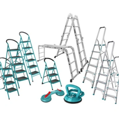 LADDER