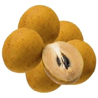 Sapta Chiku  ( चीकू )