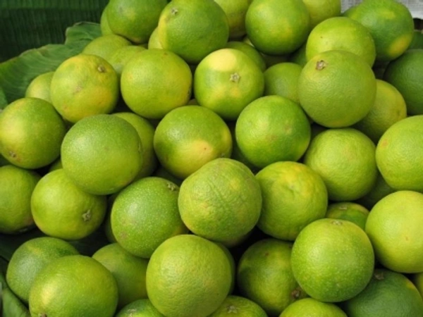 Sweet Lemon Mosambi , ( मोसम्बी )