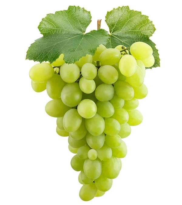 Grapes ( अंगूर  )